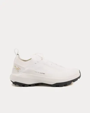 Vertex Alpine GTX Arctic Silk / Dk Arctic Silk Running Shoes